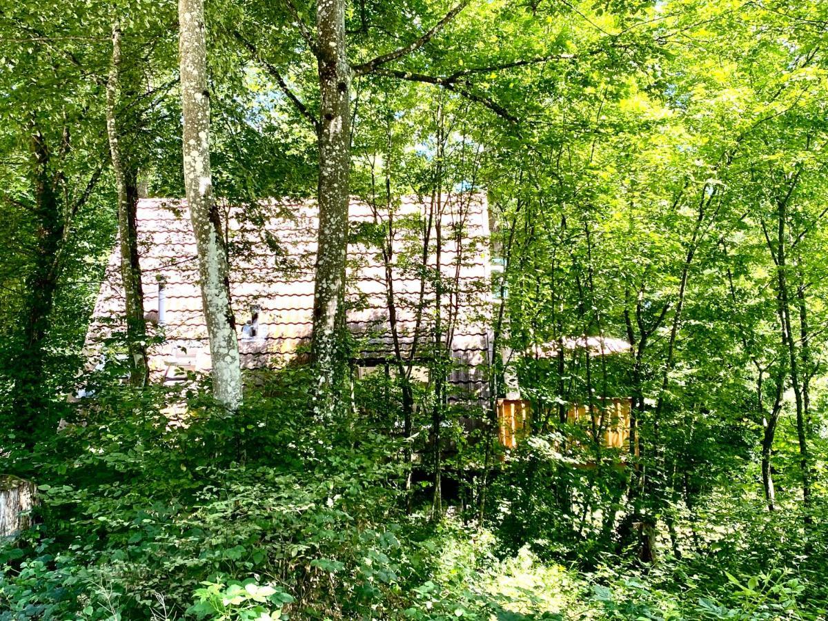 A- Frame Huisje Ardennen Дюрбюи Экстерьер фото